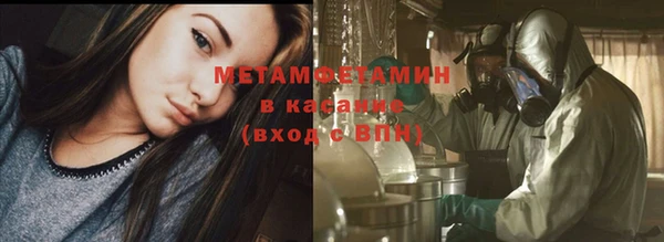 прущие грибы Баксан