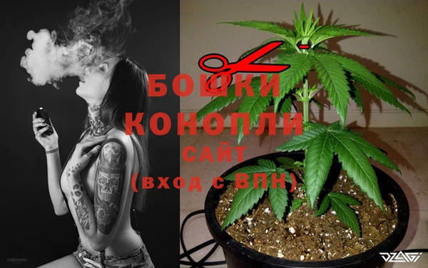 мет Арсеньев