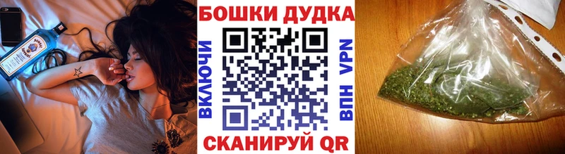 Бошки Шишки планчик  KRAKEN зеркало  Макушино 